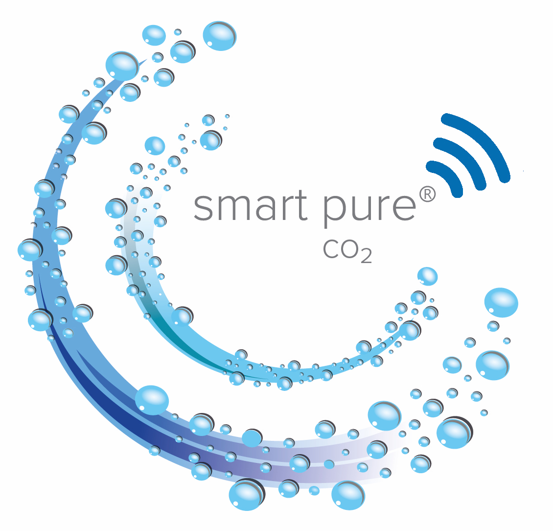 Smart Pure Logo